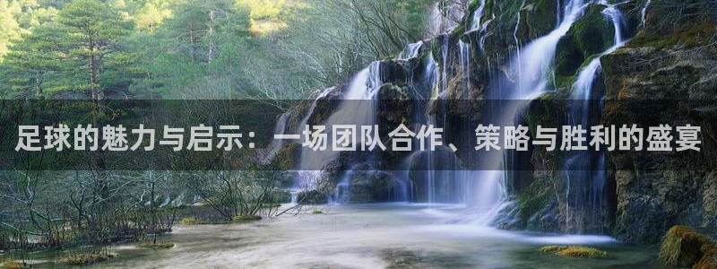 聚鑫汇h5：足球的魅力与启示：一场团队合作、策略与胜利的盛宴