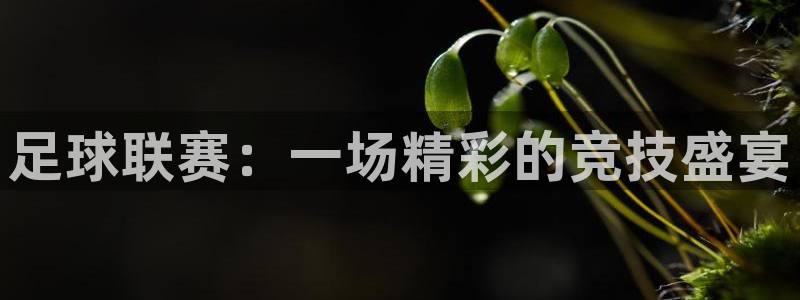 聚鑫汇网站下载：足球联赛：一场精彩的竞技盛宴