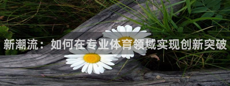 聚鑫汇国际app官网：新潮流：如何在专业体育领域实现创新突破